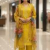 print Orna Churidar Ambotary work desgine Mahendi color