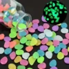 Glow in The Dark Stone Rocks